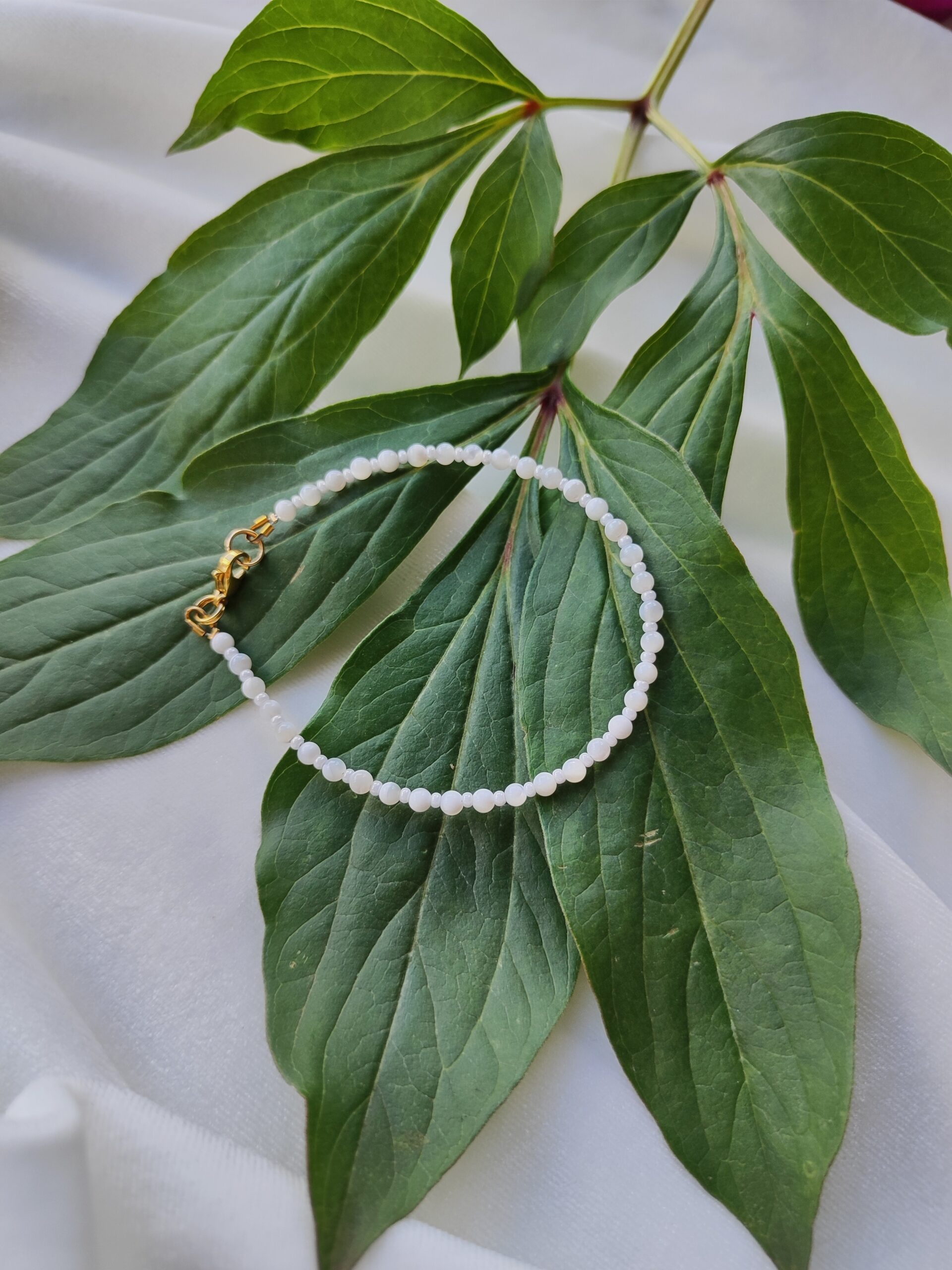 Smulki kriauklės apyrankė